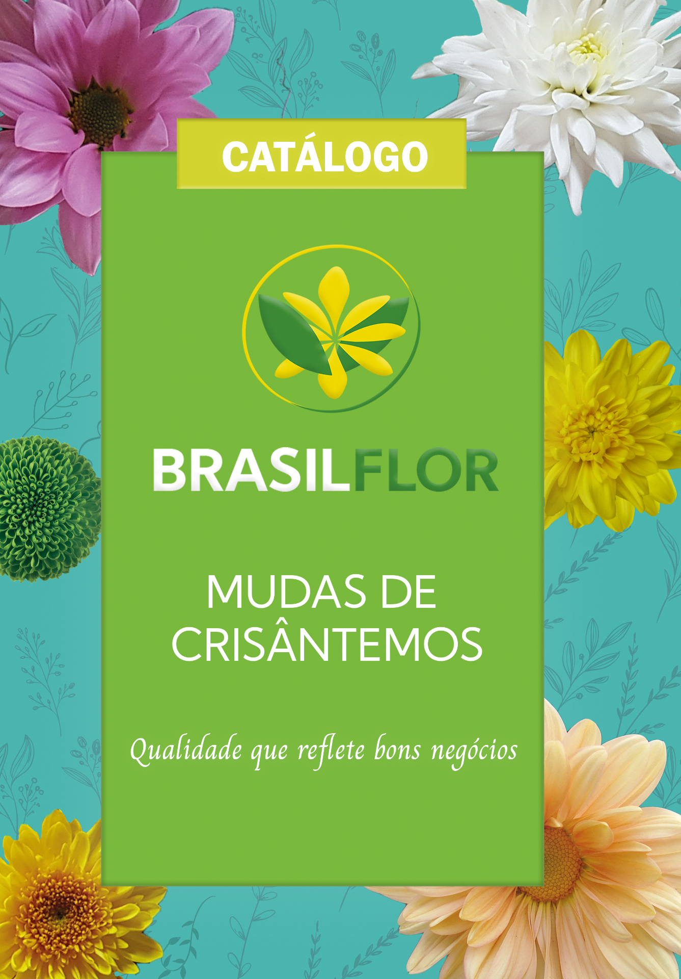 clique para ver o catálogo 